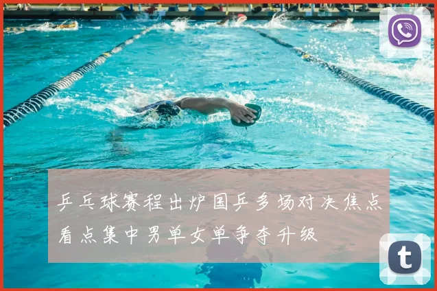 乒乓球赛程出炉国乒多场对决焦点看点集中男单女单争夺升级